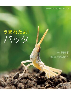 cover image of うまれたよ!バッタ